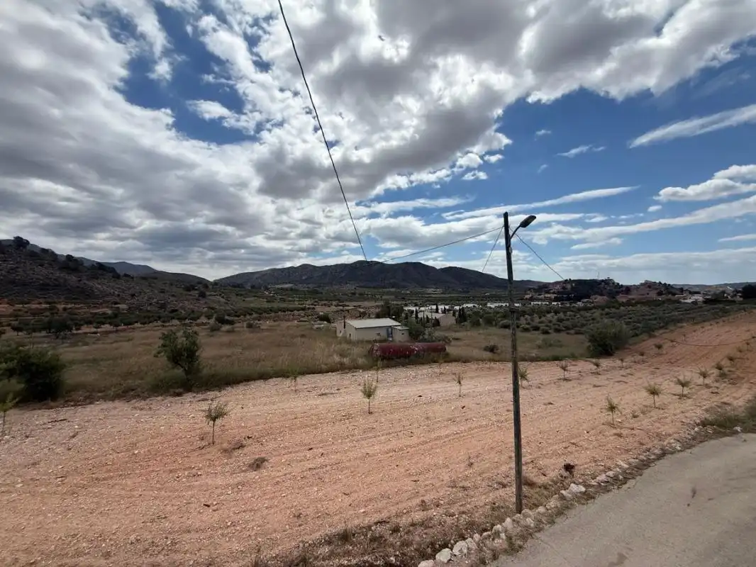Casa amb terrassa en venda a Diseminado el Canton, imagen 31