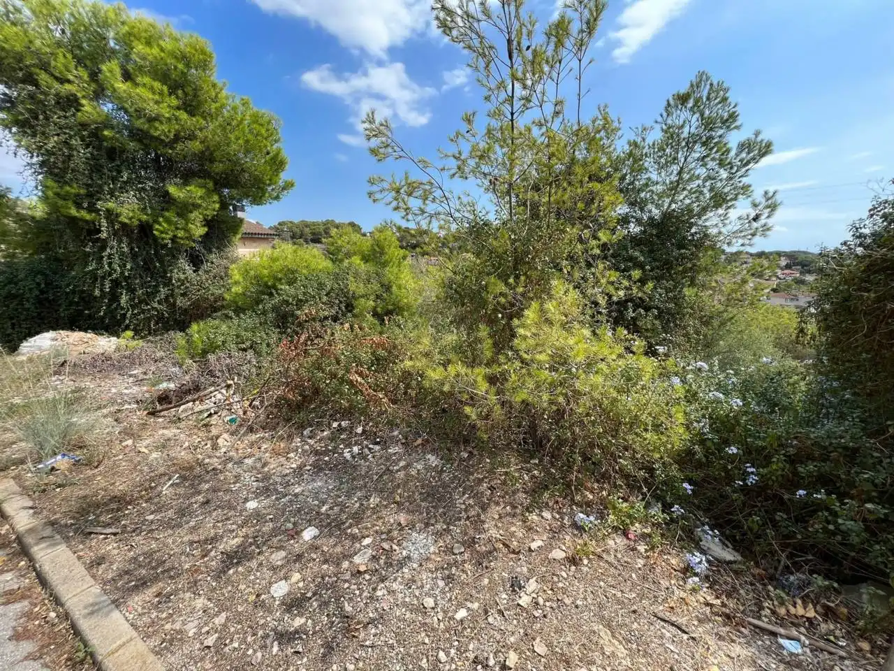 Terrain rustique à vendre à Calle VELAZQUEZ 24, imagen 4