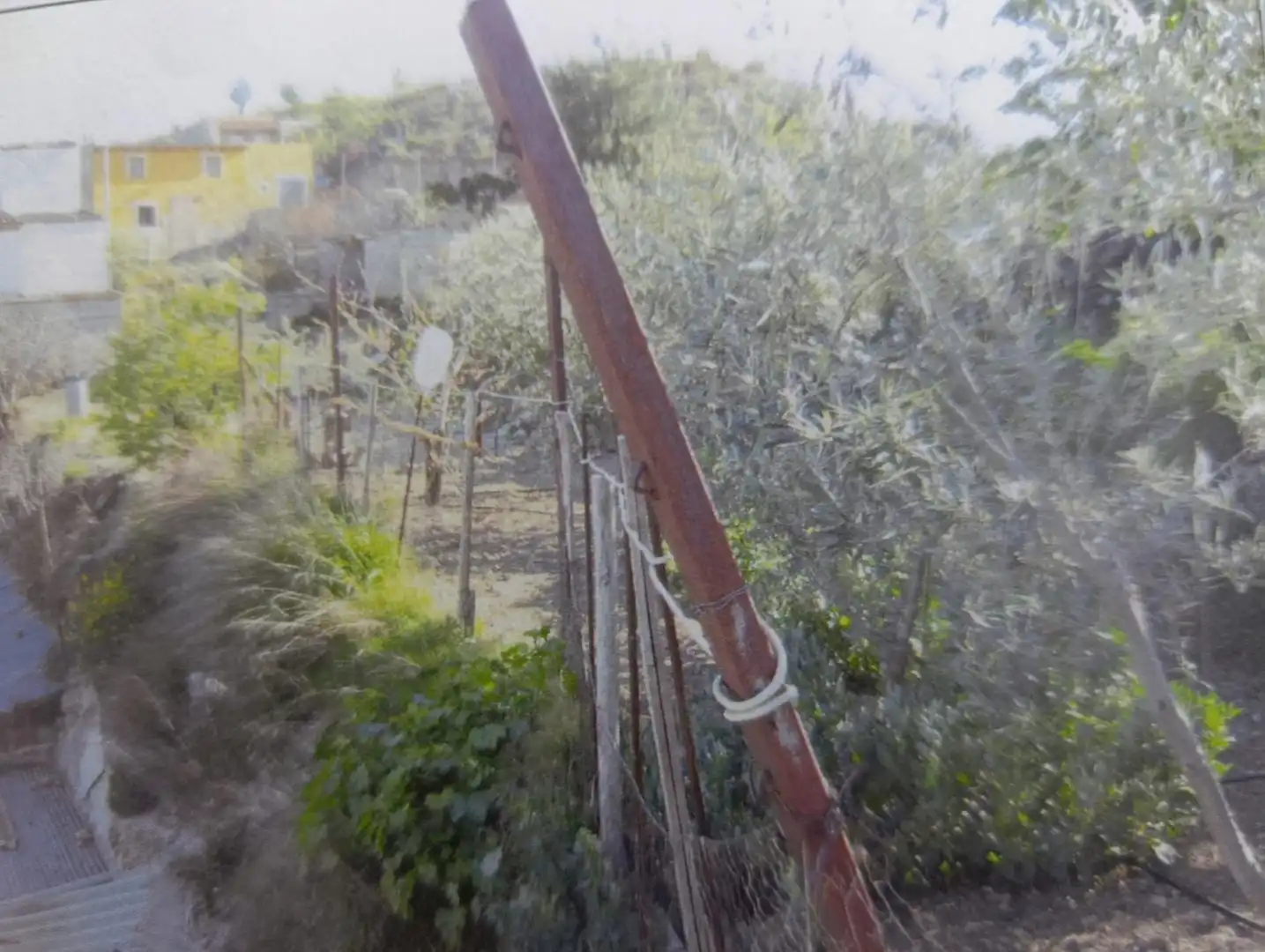 Residential land for sale in Avenida CEHEGIN, imagen 5