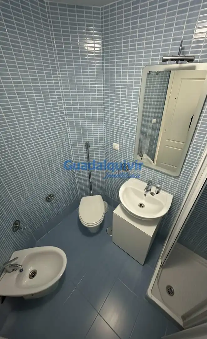 Bathroom of Detached homes for sale in Sevilla  with Air Conditioner, Heating and Terrace