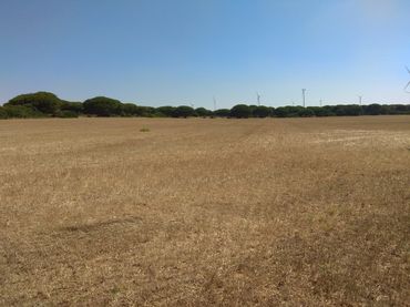 Terreno rustico in vendita a Carretera del Marquesado 605