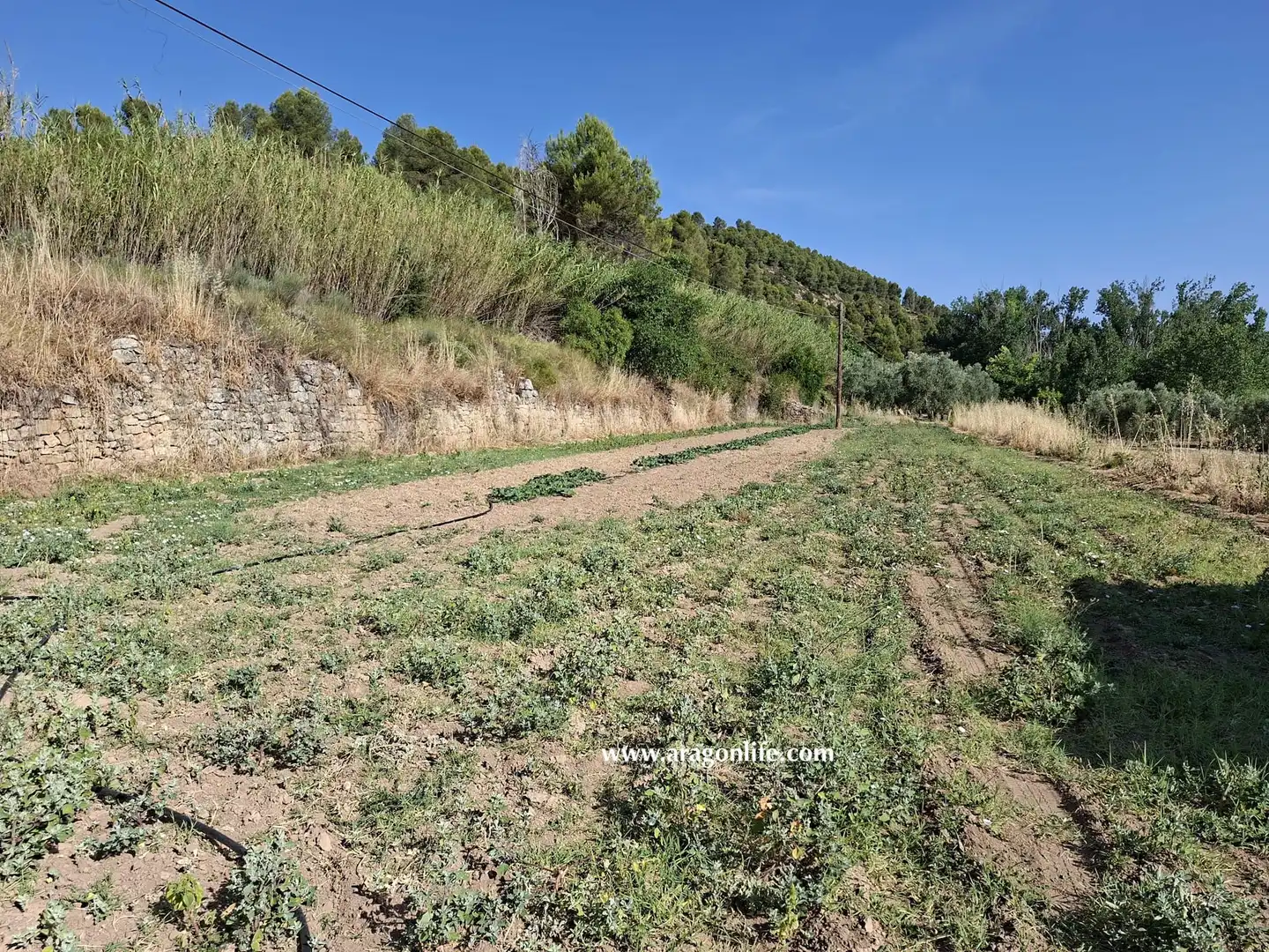 Finca rústica en venda en Mazaleón