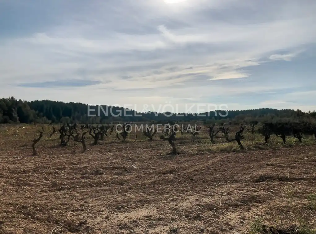 Fabrik Grundstücke zum Verkauf in Avinyonet del Penedès