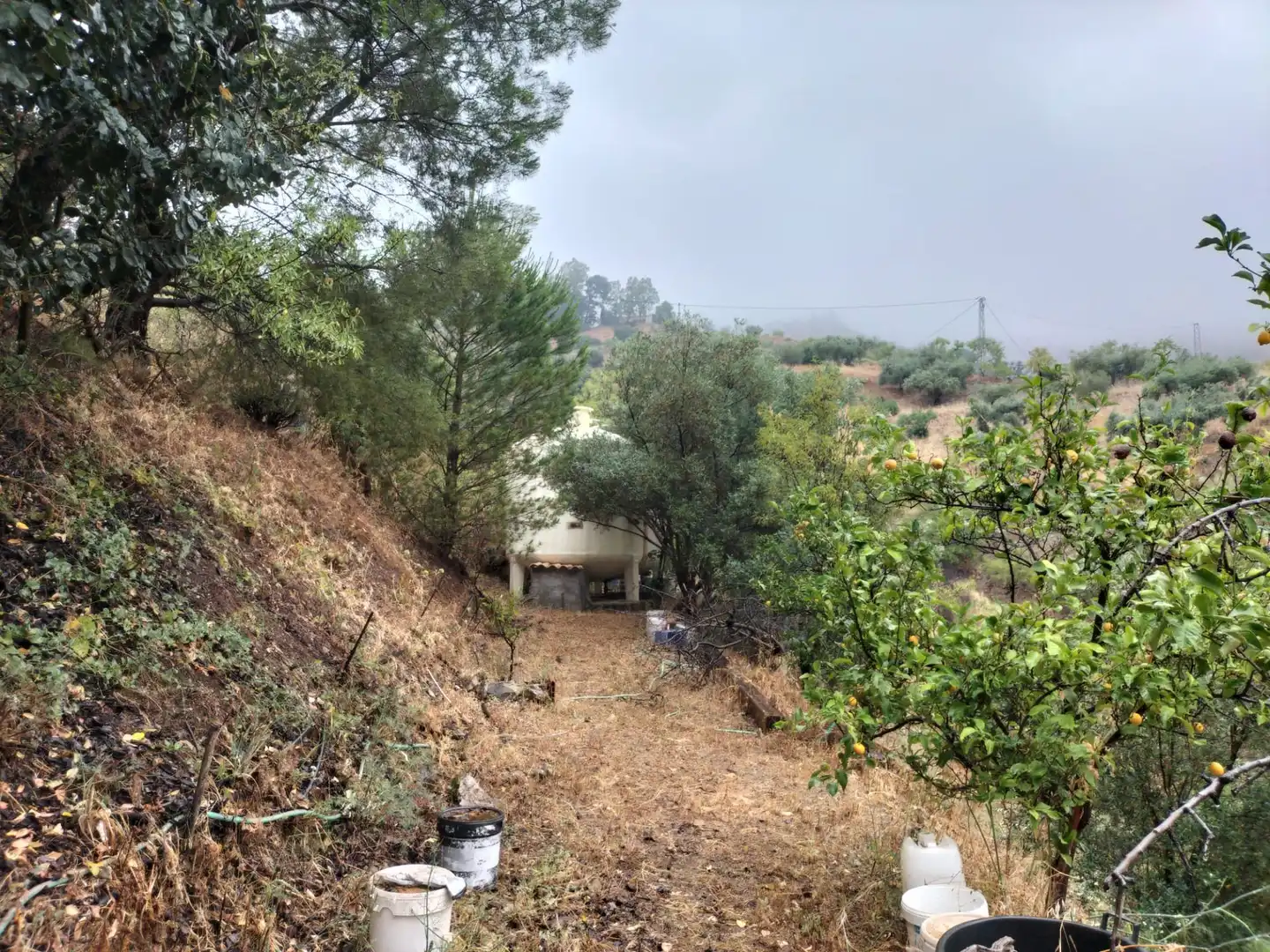 Finca rústica en venta en Málaga