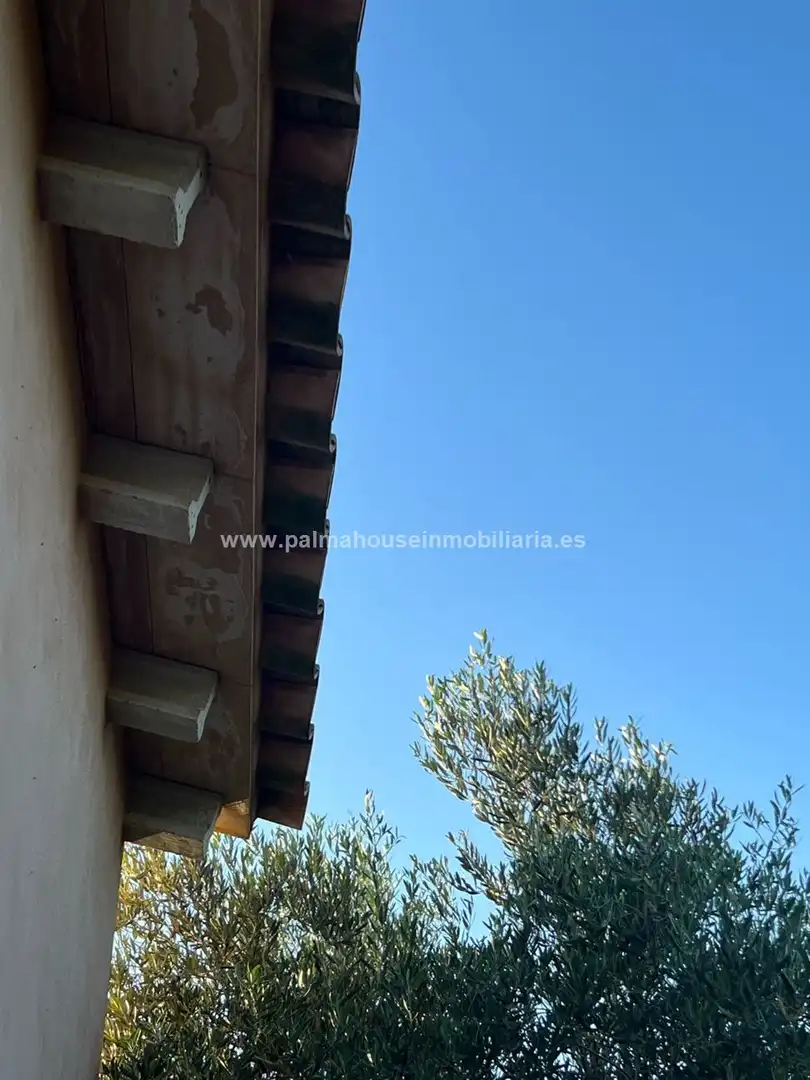 Vista exterior de Residencial en venta en Santa Margalida
