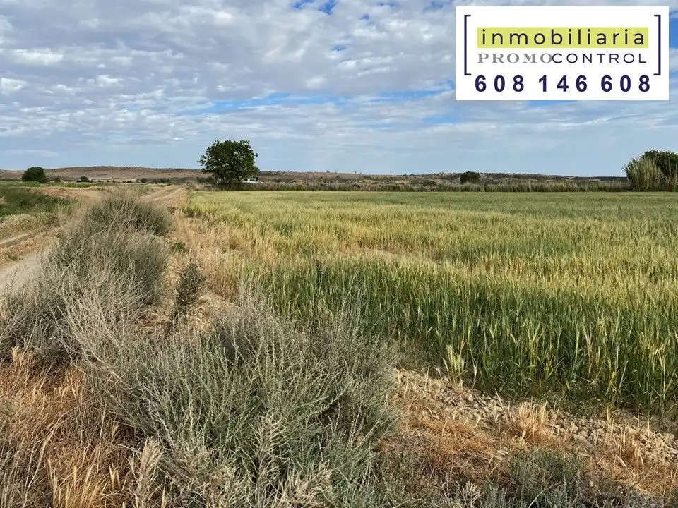 Terreny rústic en venda a San Mateo de Gállego, imagen 7
