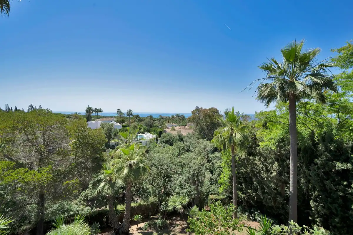 Jardín de Casa o chalet en venta en Marbella con Aire acondicionado, Calefacción y Jardín privado
