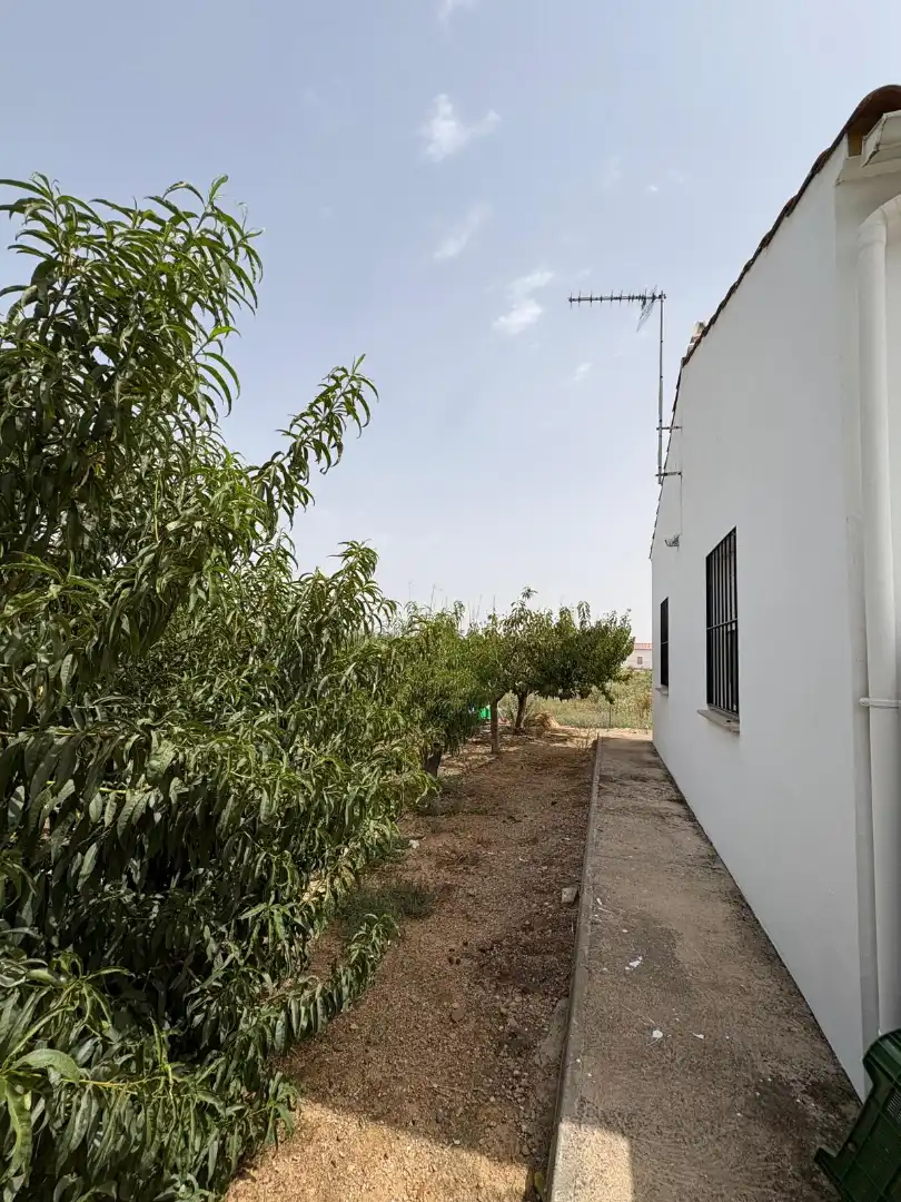 Casa o chalet en venta en Don Benito con Aire acondicionado y Piscina