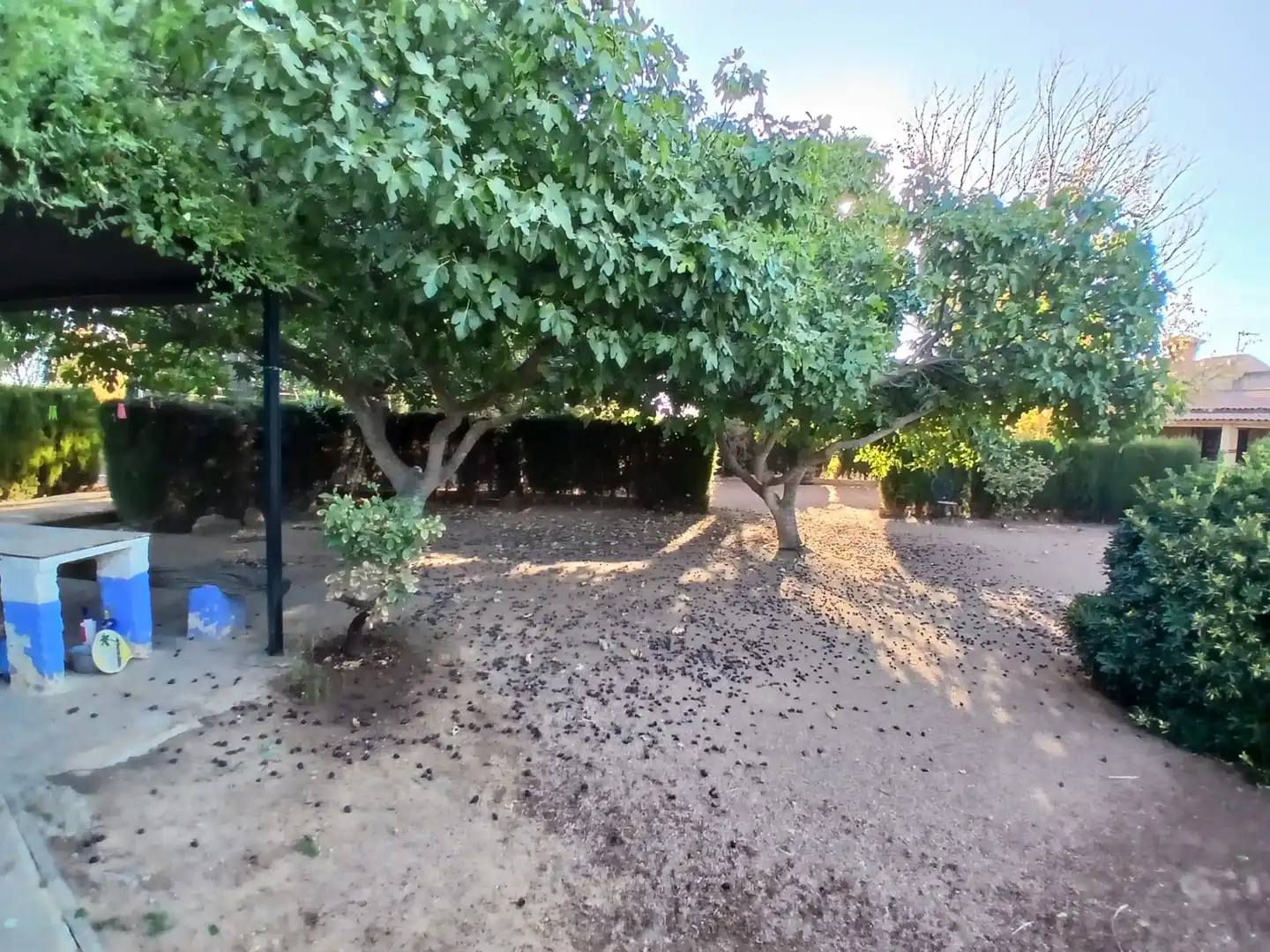 Villa avec piscine à vendre à N/A, imagen 20