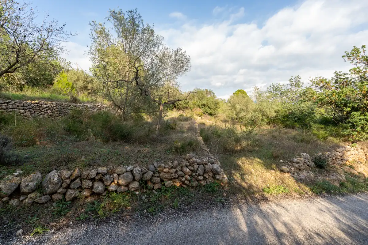 Terreno rustico in vendita a Camí Vell del Cementiri 1, imagen 9