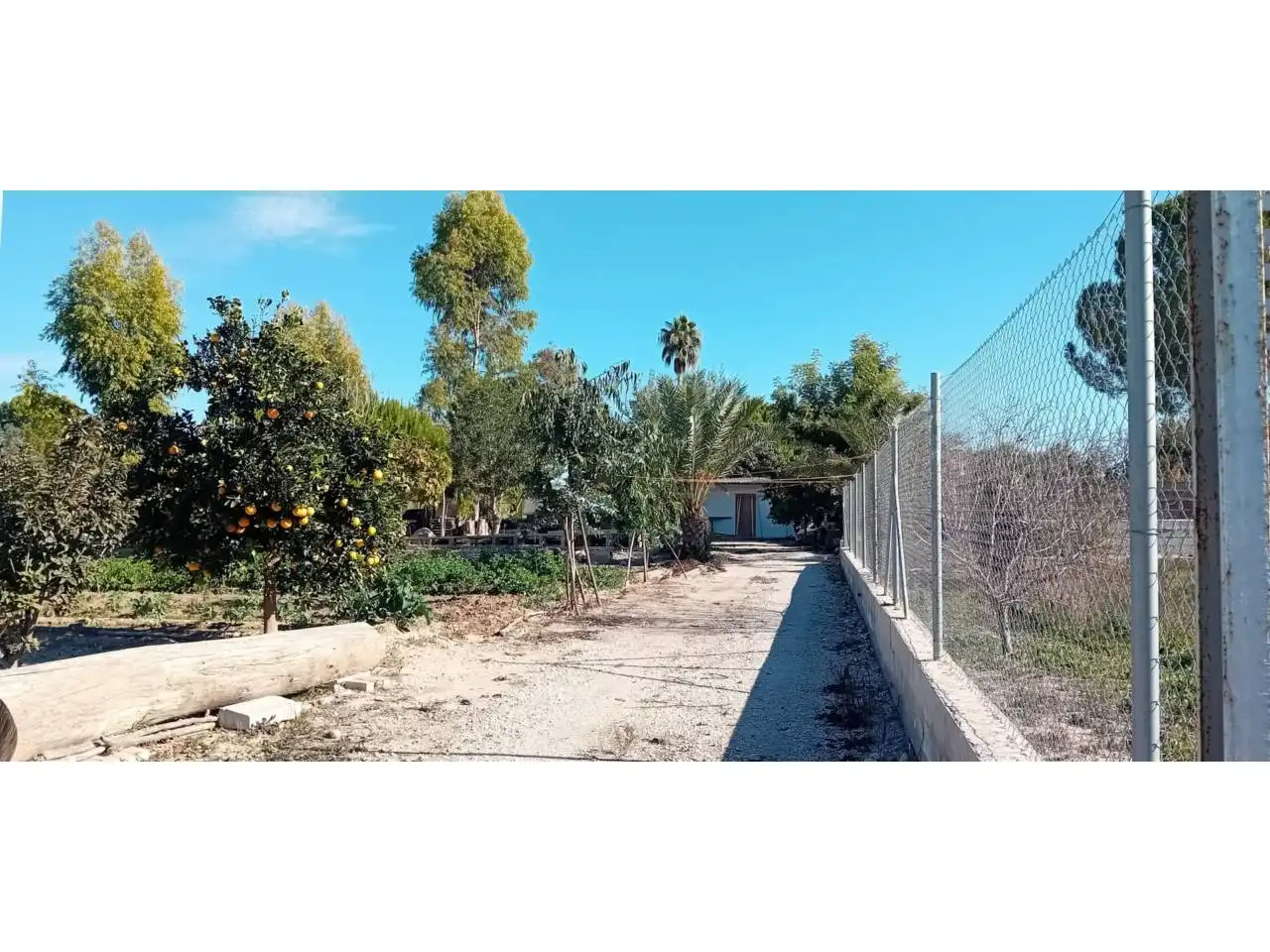 Terreny rústic en venda a Camino Paraje, imagen 4