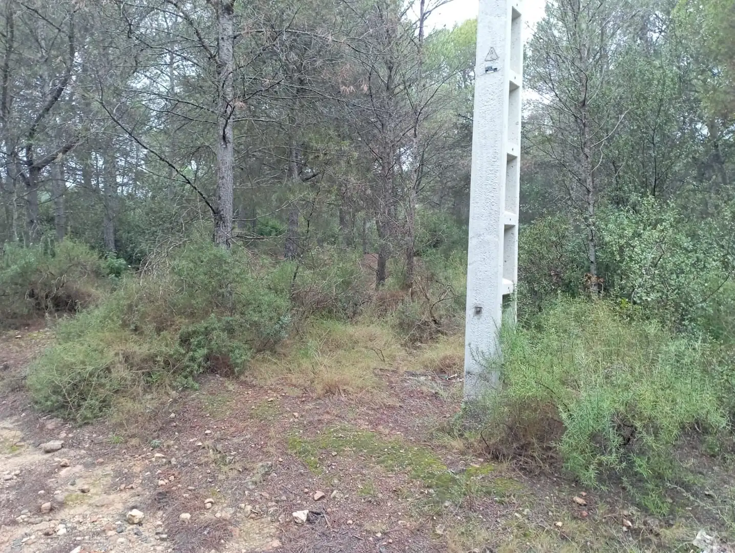Terreno rustico in vendita a Camino 2 39, imagen 11