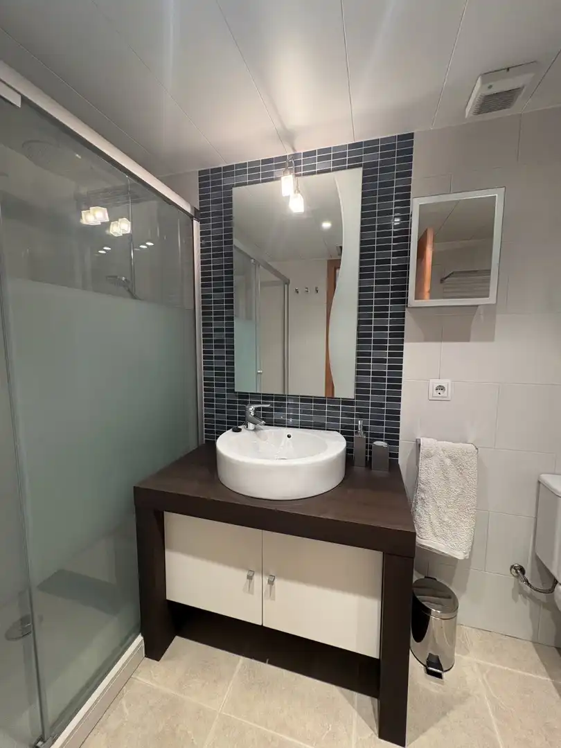 Flat with terrace to rent in PLA DE LA COMA, imagen 29
