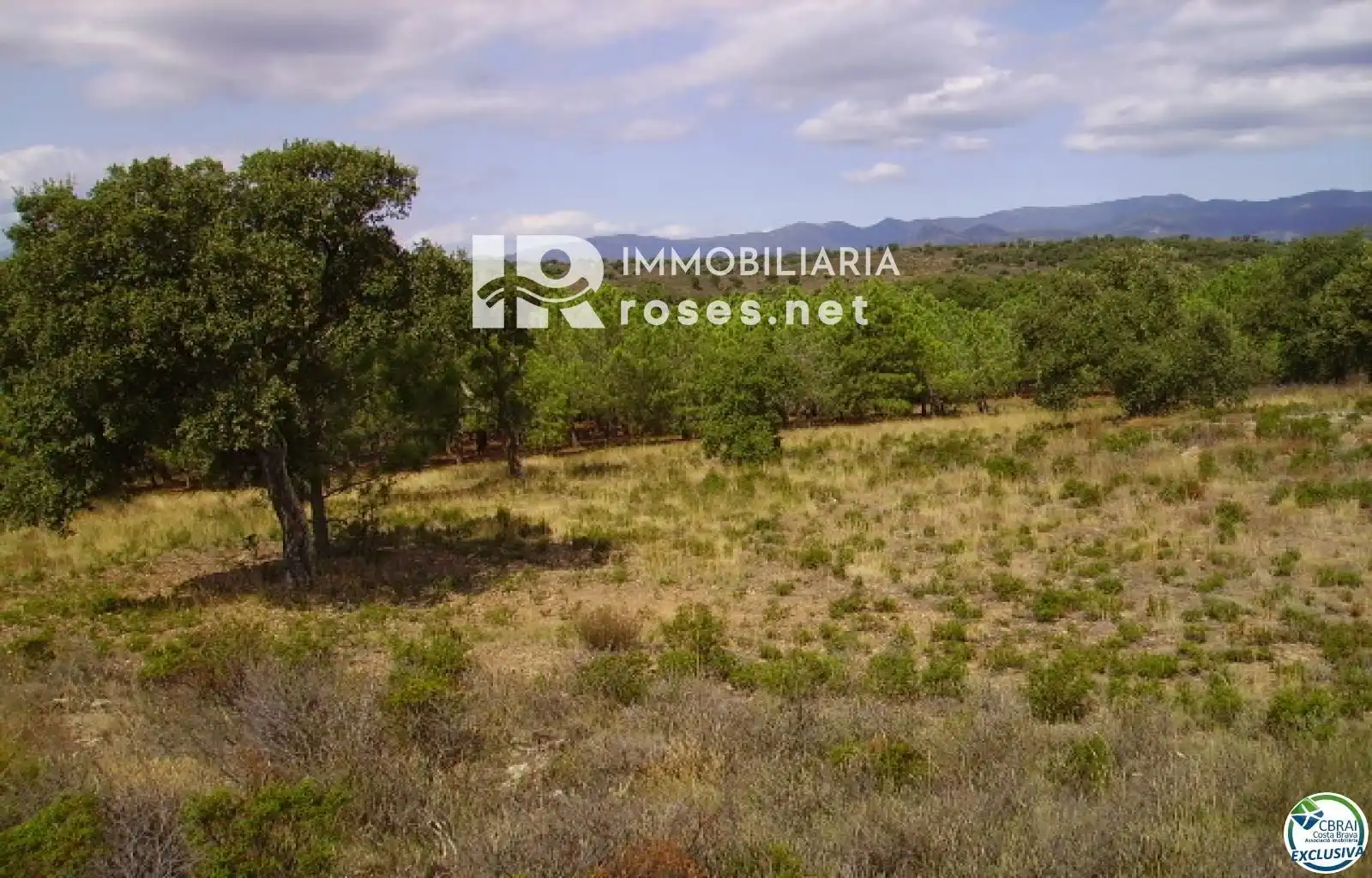 Rural land for sale in Butaros, imagen 13