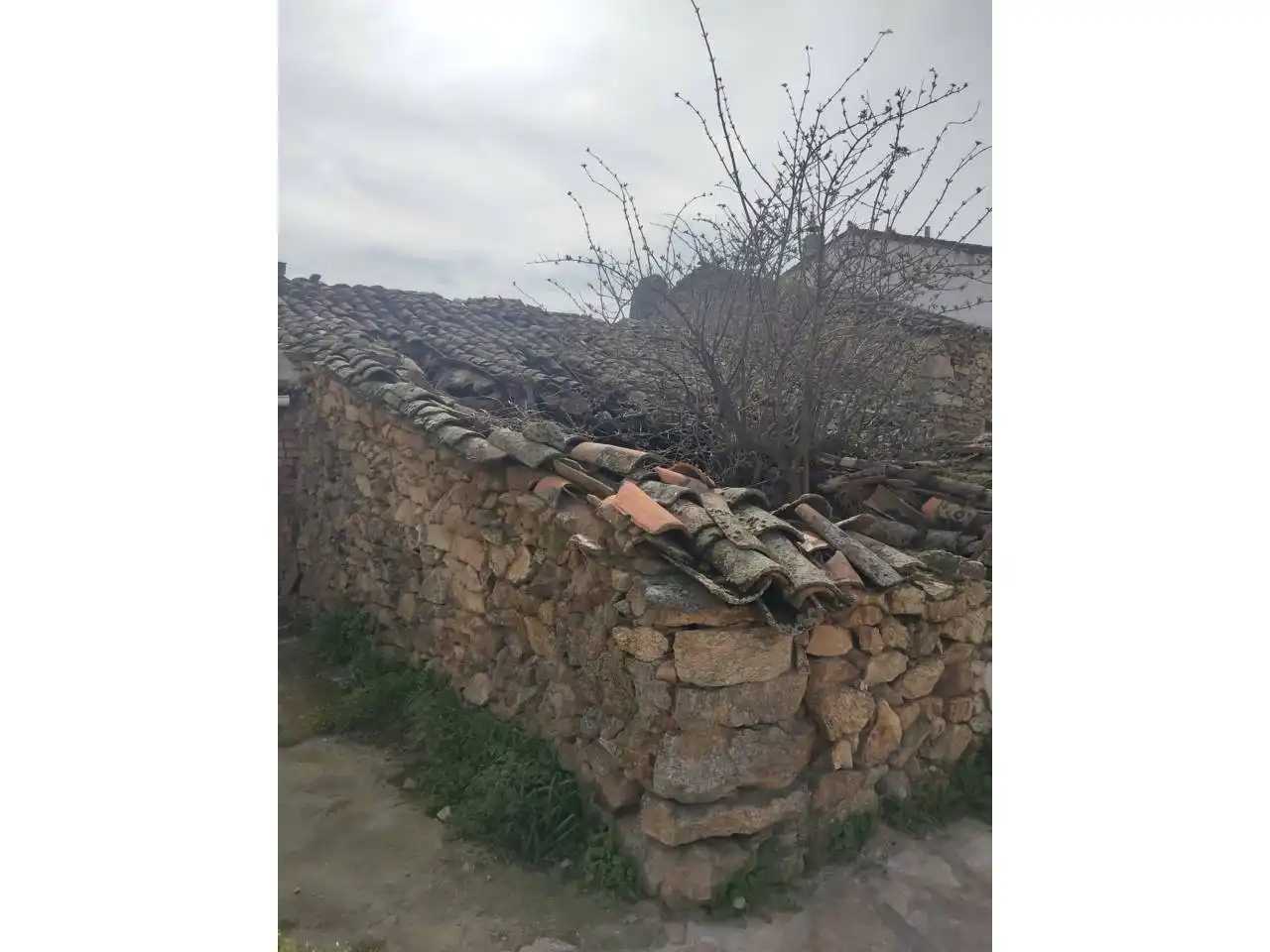 Vista exterior de Casa o chalet en venta en Piñuécar-Gandullas con Jardín privado