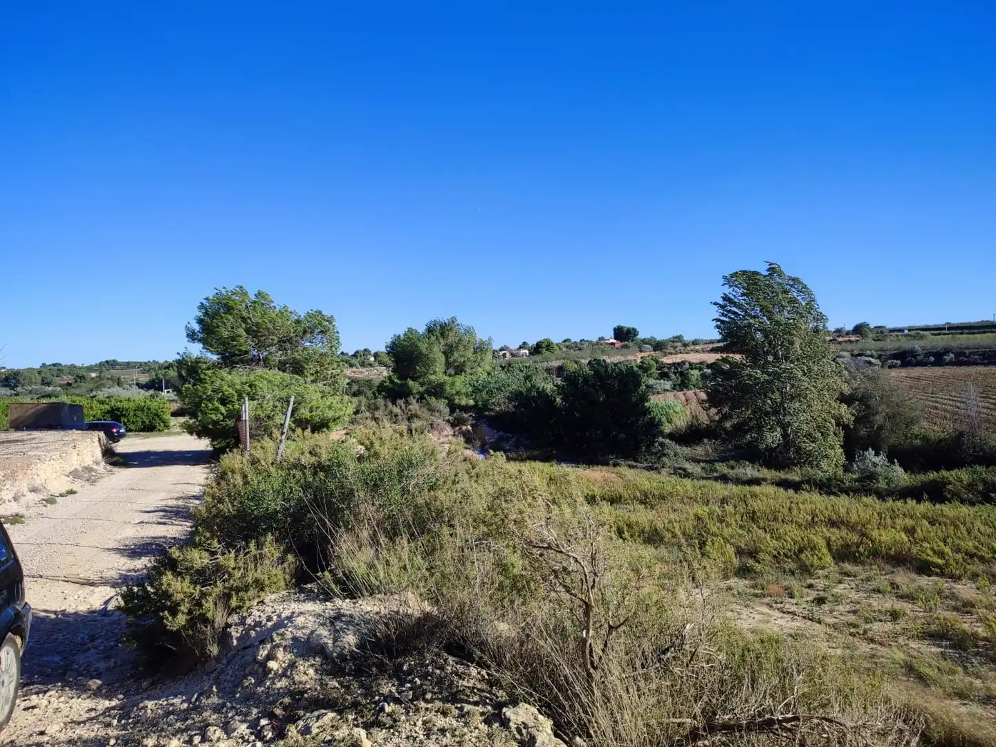 Rural land to rent in Los Felipes - Corral de Carmelo, imagen 3