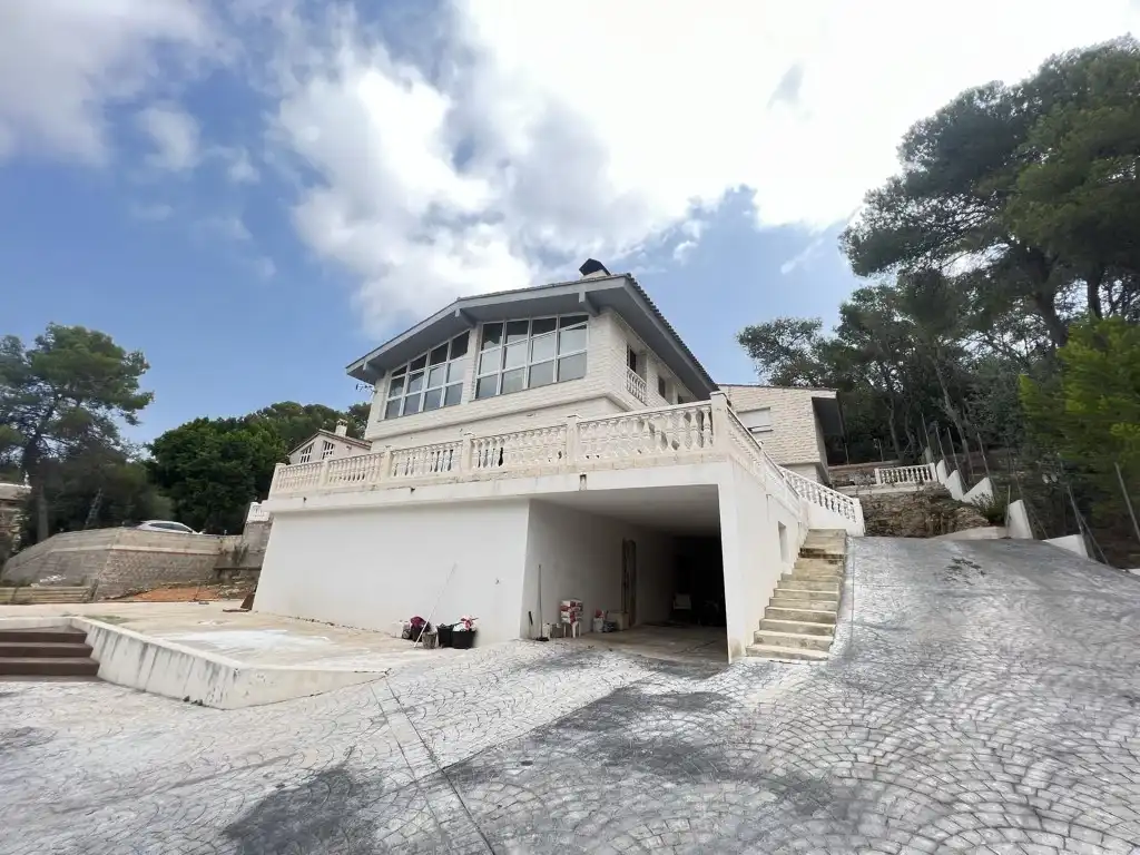Vista exterior de Casa o chalet en venta en Alzira con Aire acondicionado, Jardín privado y Terraza