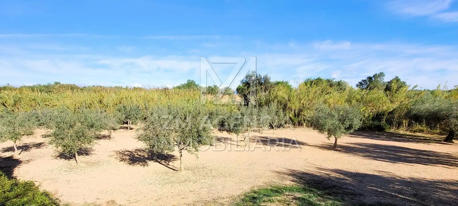 Casa rústica en venta en Traiguera, imagen 17