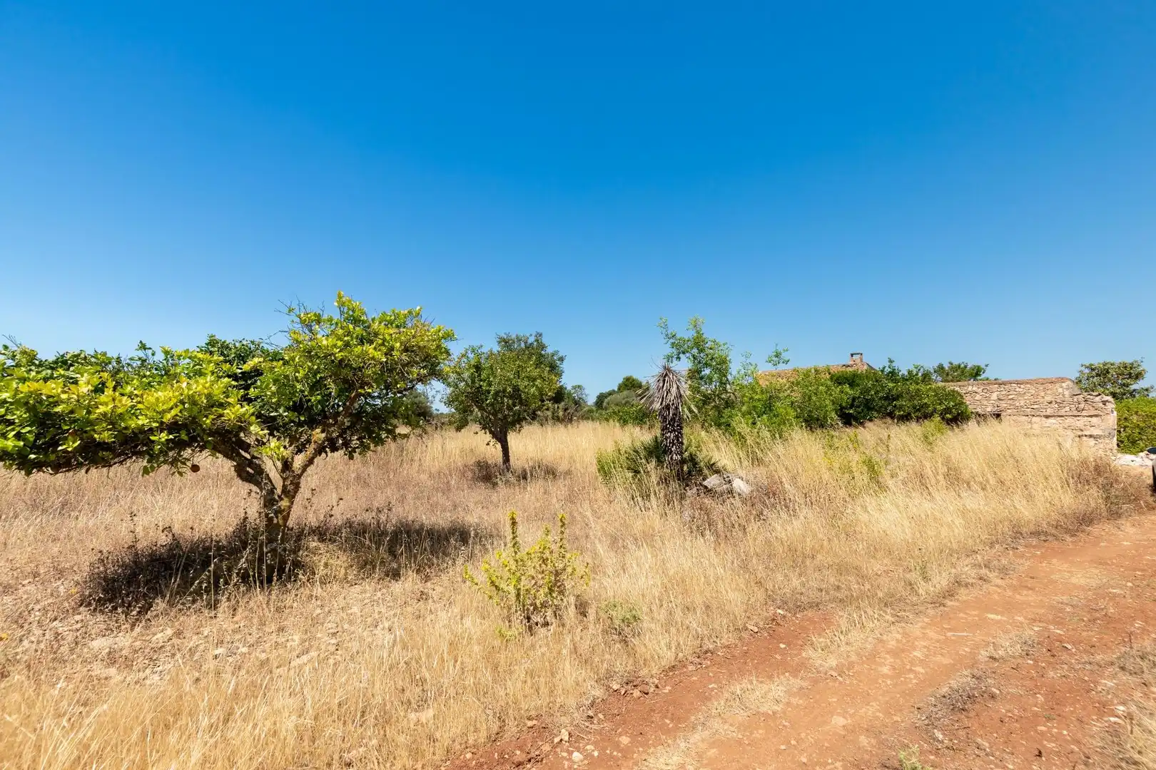 Finca rústica en venda en Felanitx amb Terrassa