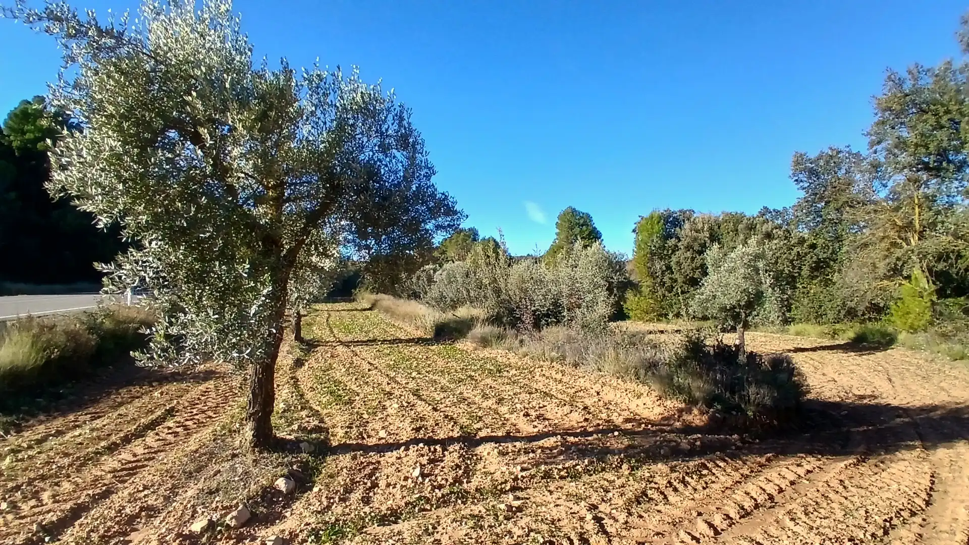 Terreno rustico in vendita a N/A, imagen 7