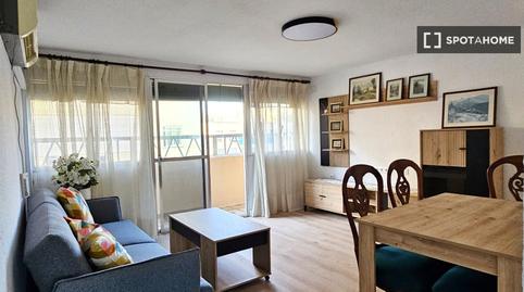 Foto 5 de Piso para compartir en Ciudad Jardín - Tagarete - El Zapillo,  Almería Capital