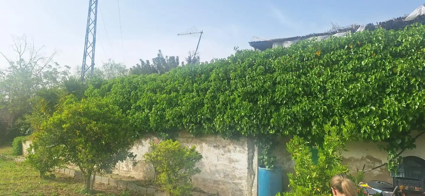 Terreni e lotti in vendita a Travesía Consolación