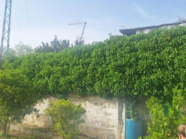 Terrenos y solares en venta en Travesía Consolación