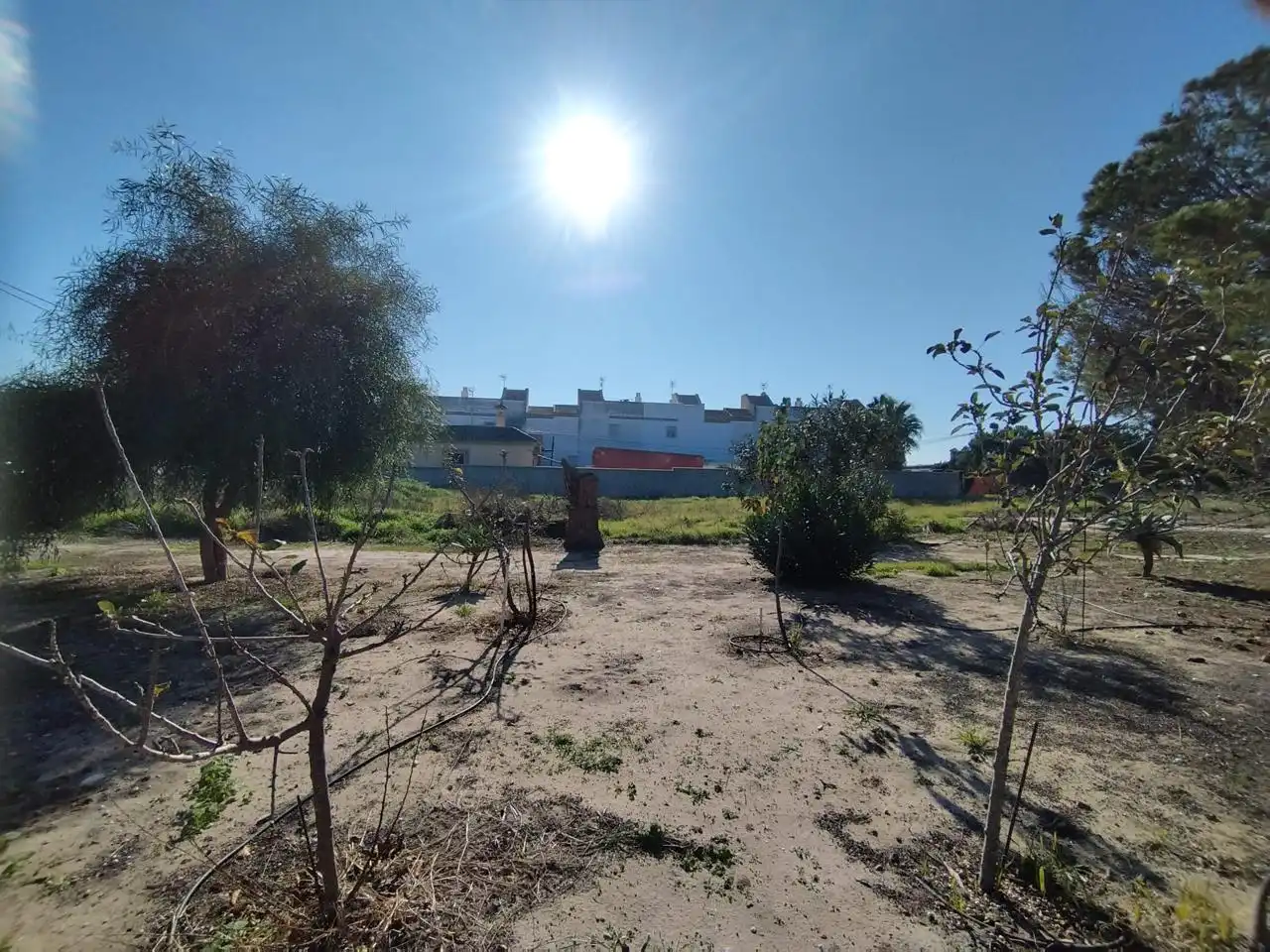 Lands and plots for sale in De Pozo De Las Vacas, imagen 9
