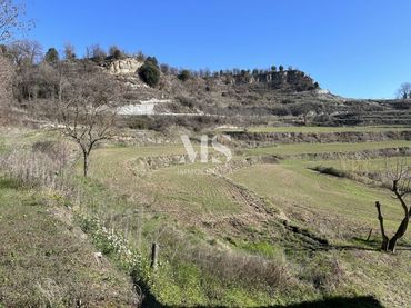 Rural land for sale in Vinya