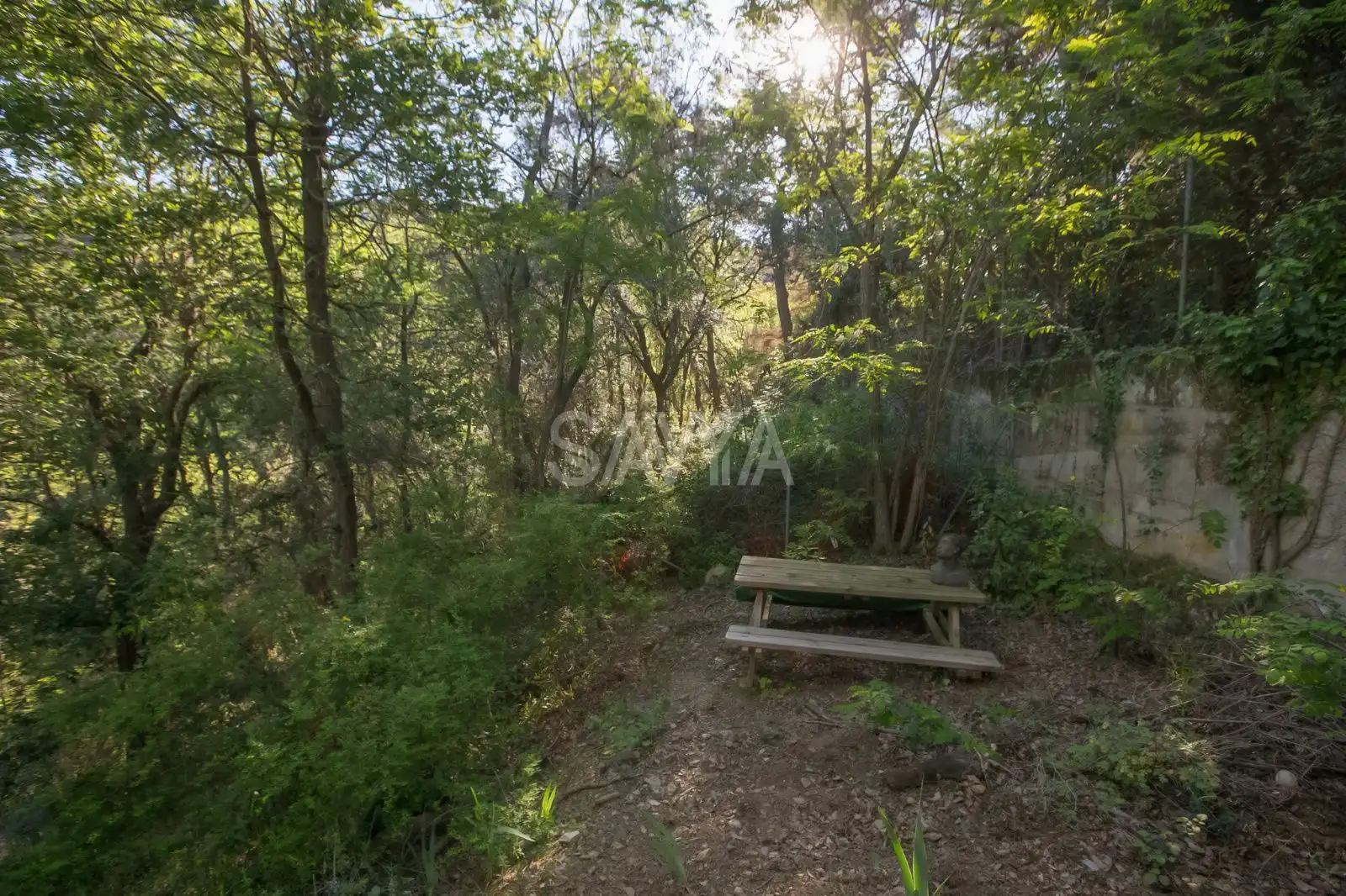 Casa con piscina en venta en Les Planes, imagen 49