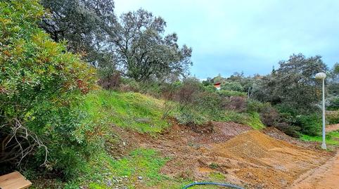 Photo 3 of Residential for sale in Guillena pueblo, Guillena