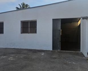 Exterior view of Industrial buildings to rent in Elche / Elx