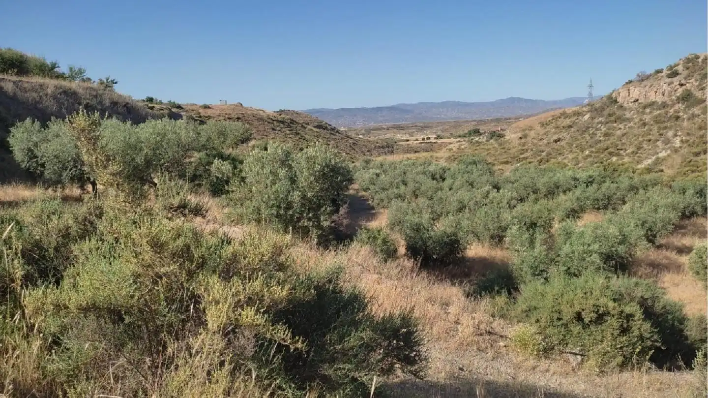 Terrenos y solares en venta en Huércal-Overa, imagen 4