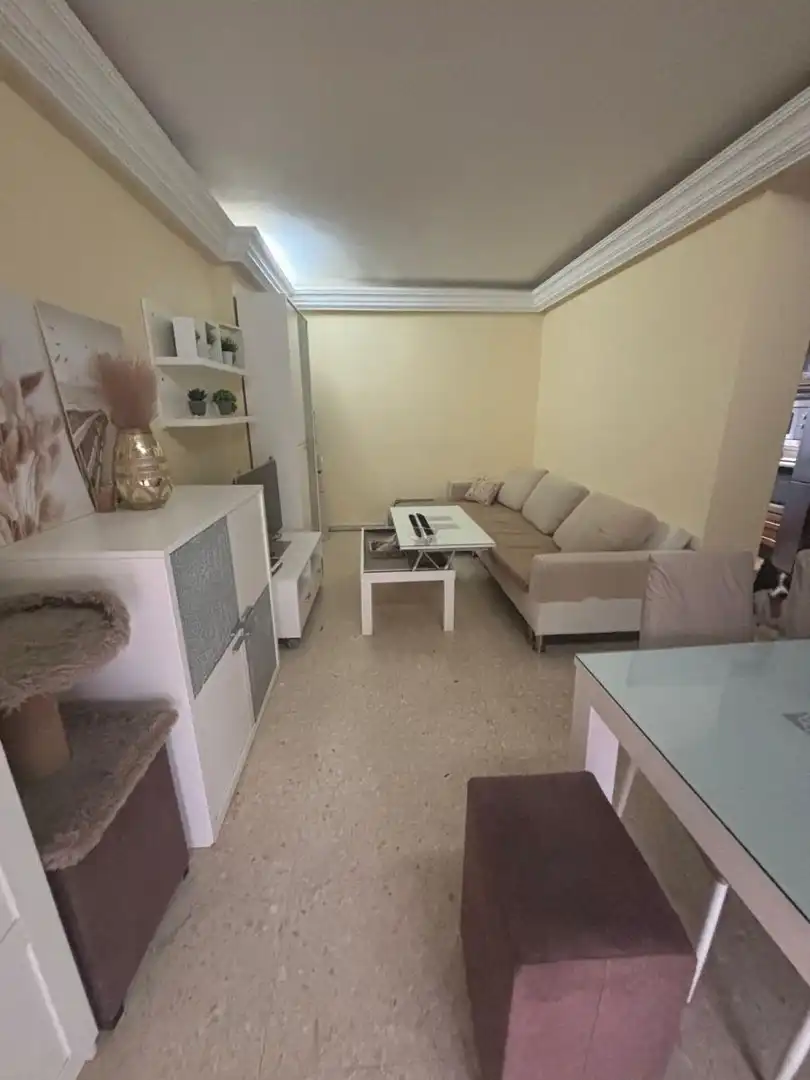 Sala de estar de Casa o chalet en venta en San Fernando