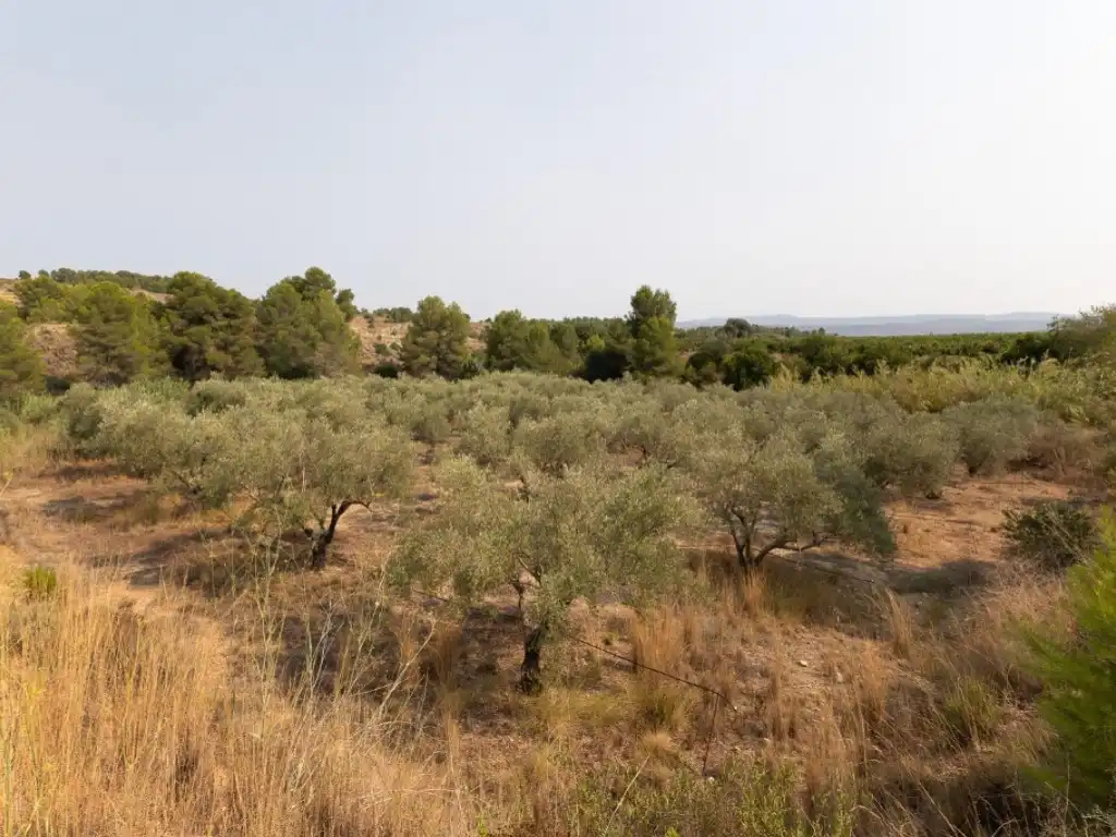 Casa o chalet en venta en Alborache