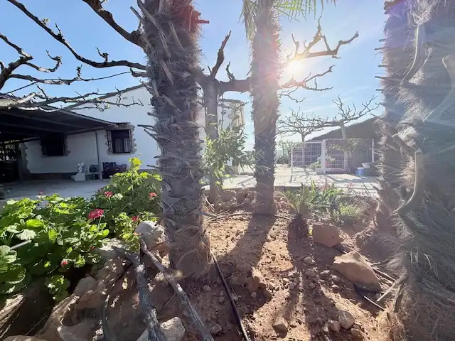Jardí de Finca rústica en venda en Cabanes amb Jardí privat, Terrassa i Piscina