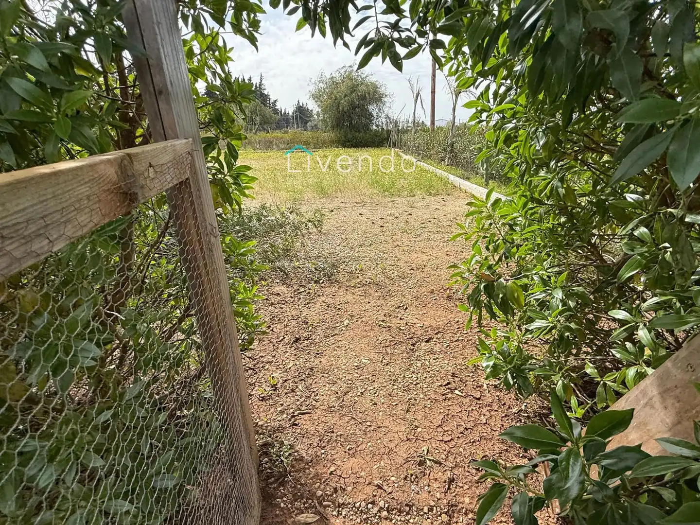 Terreny en venda en Conil de la Frontera