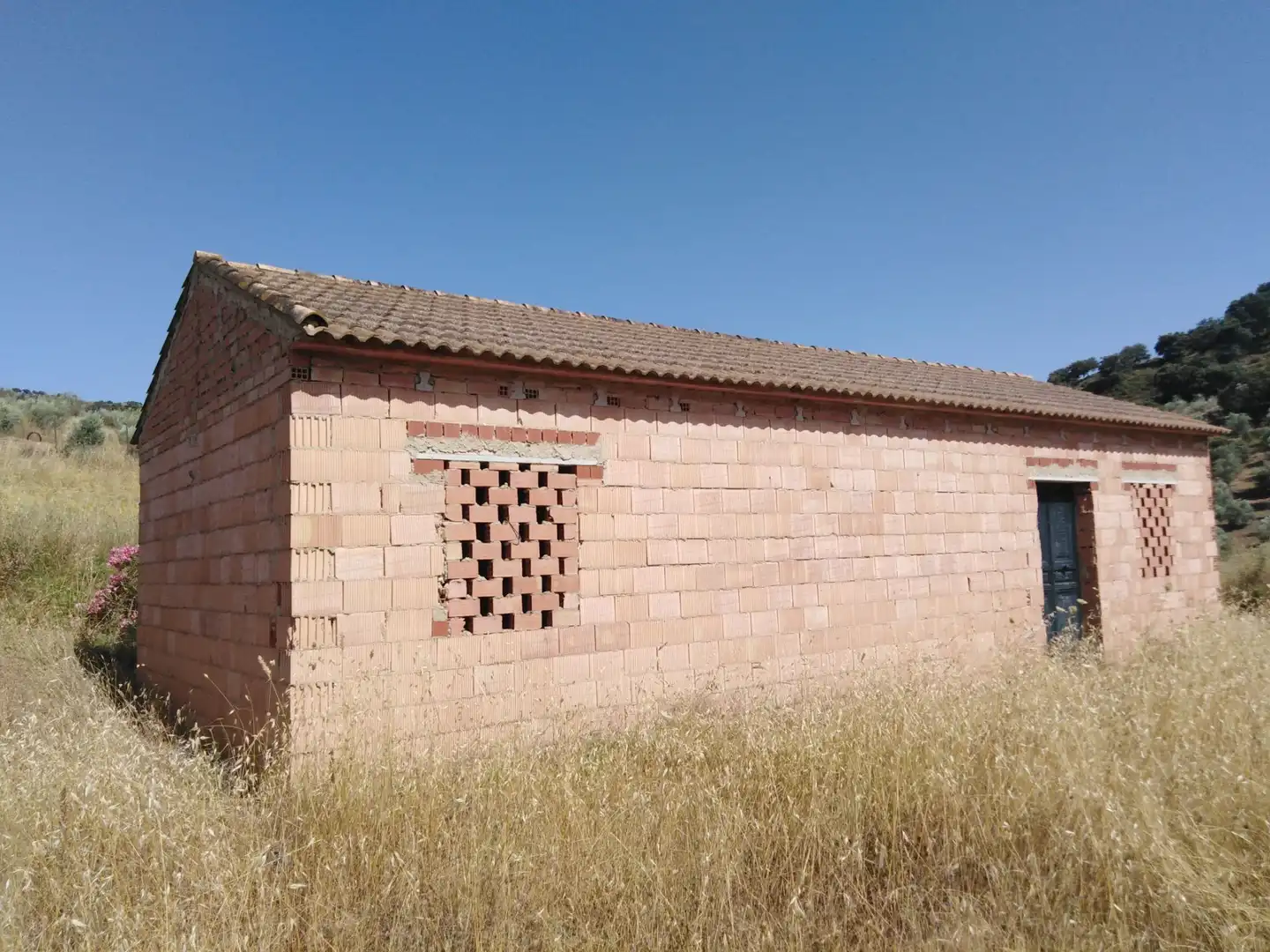 Vista exterior de Finca rústica en venda en Ronda