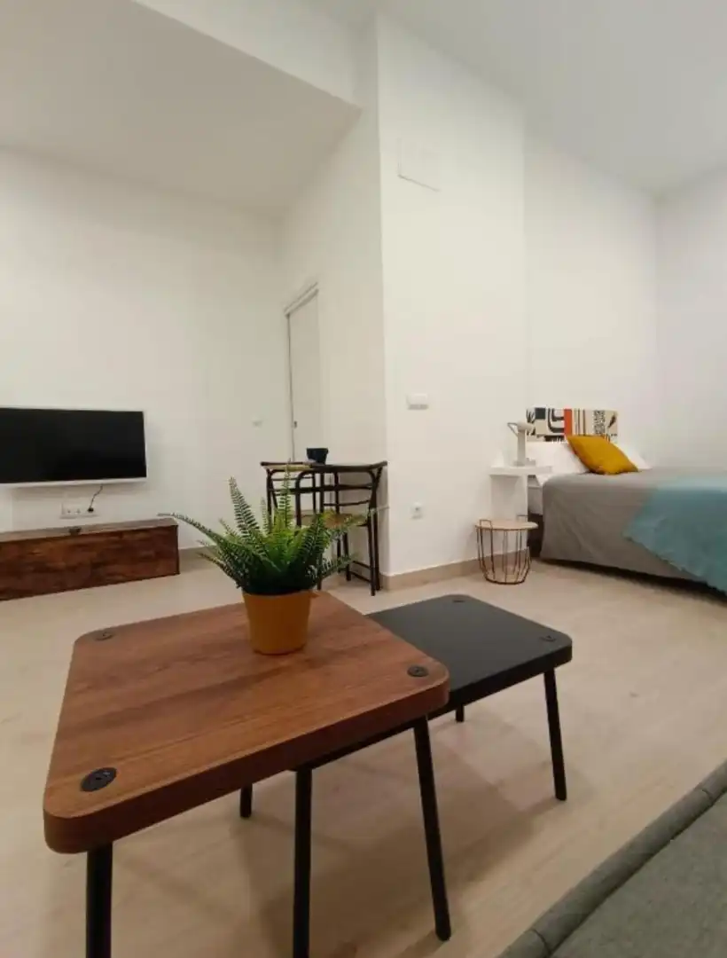 Sala d'estar de Estudi de lloguer en Málaga amb Moblat