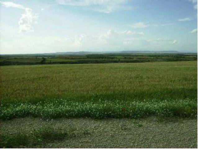 Terreno en Venta en Ontiñena