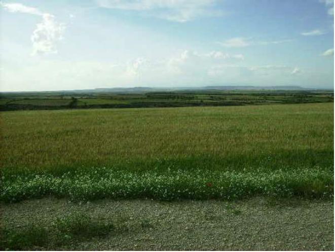 Foto 1 de Terreno en venta en Ontiñena, Huesca