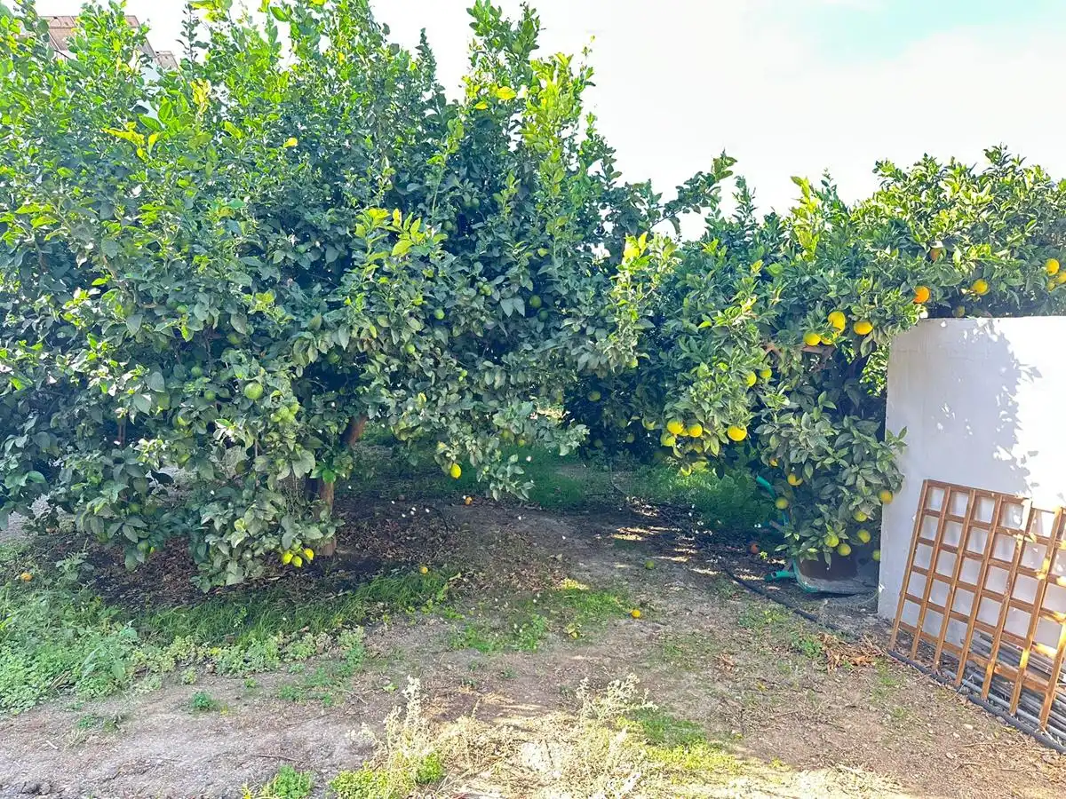 Casa rústica amb terrassa en venda a Zanahoria Pol 25 357B, imagen 17