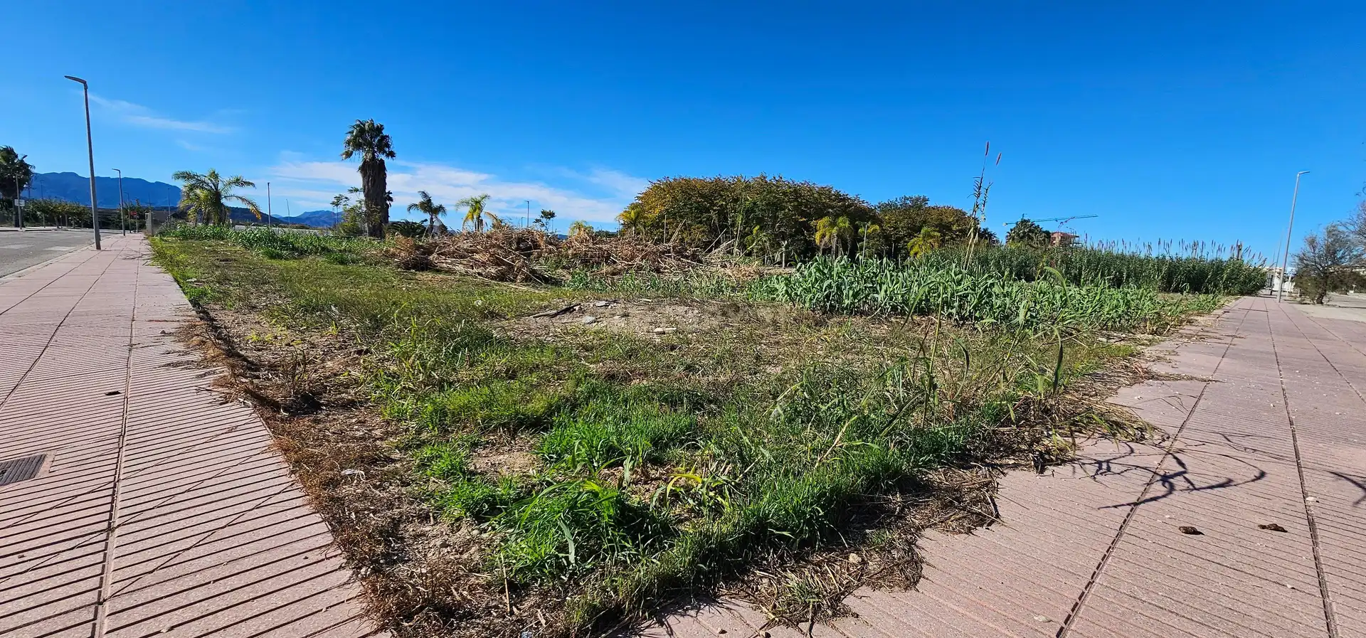 Residencial en venda a Carrer Mestral, 4, Piles, Spain, 4, Piles