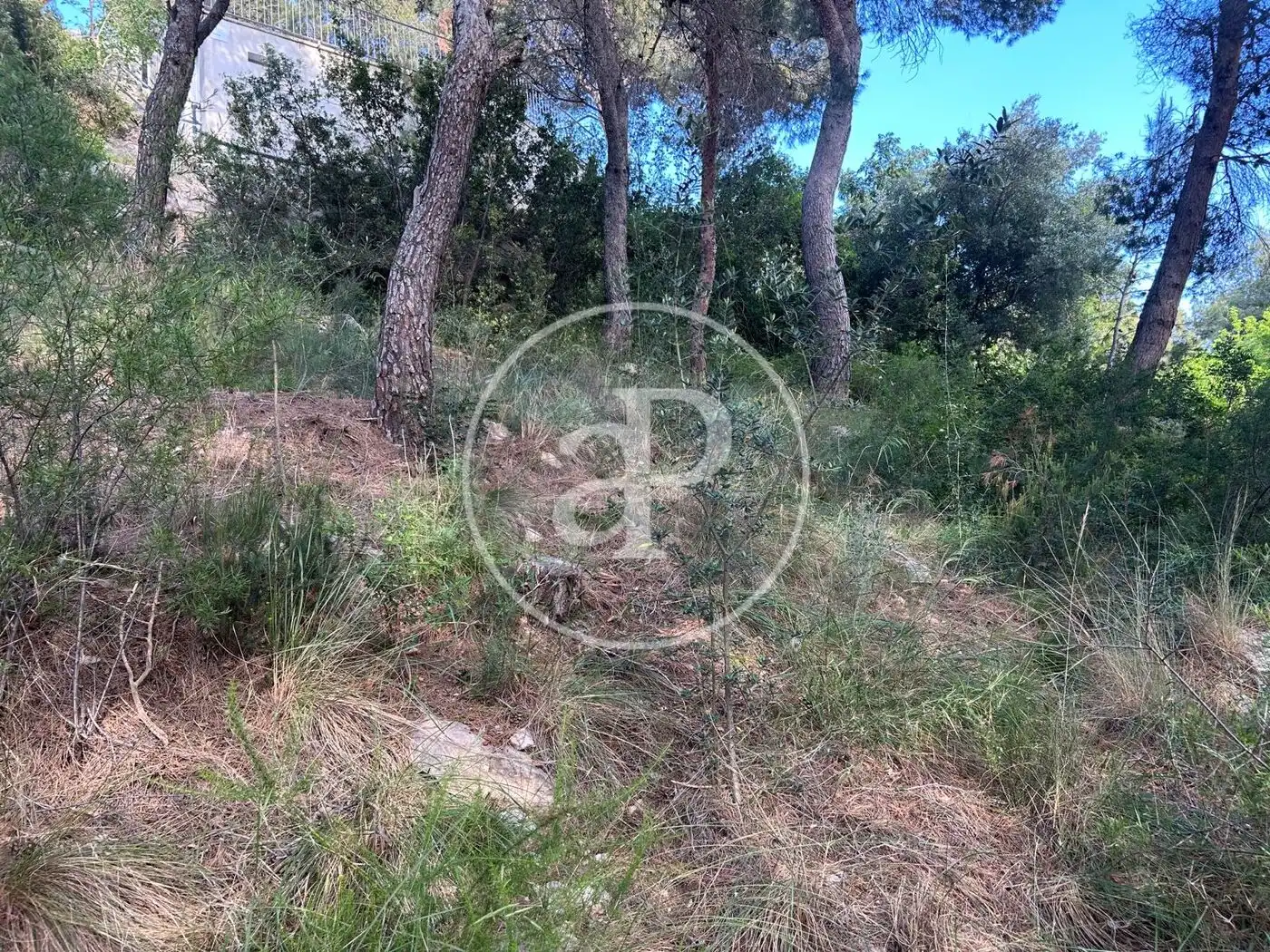 Wohnbaugrundstück zum Verkauf in El Bosque, imagen 22