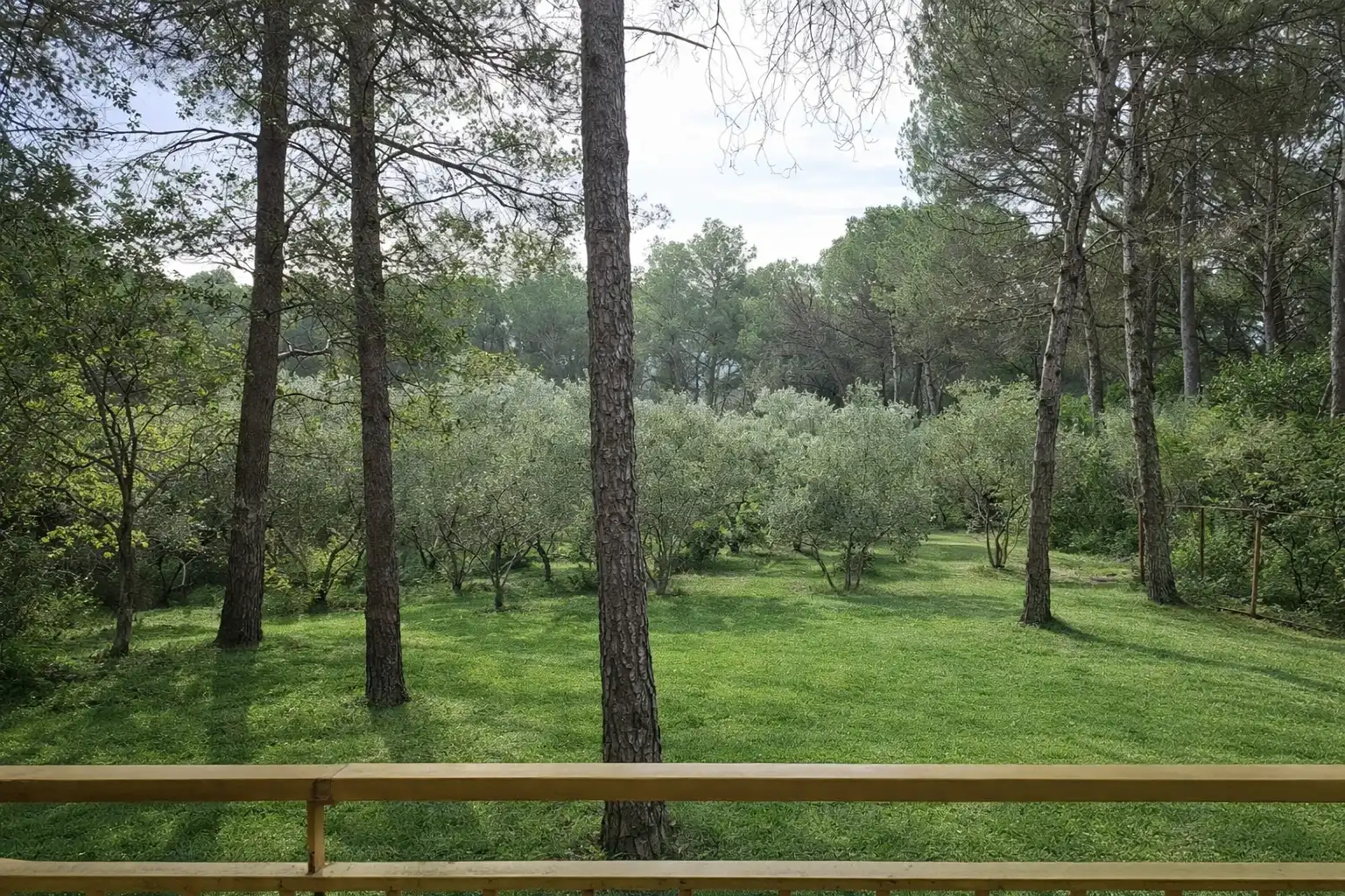 Jardí de Casa o xalet en venda en Corçà amb Jardí privat, Terrassa i Traster