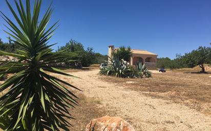 Country house zum verkauf in Càlig mit Terrasse