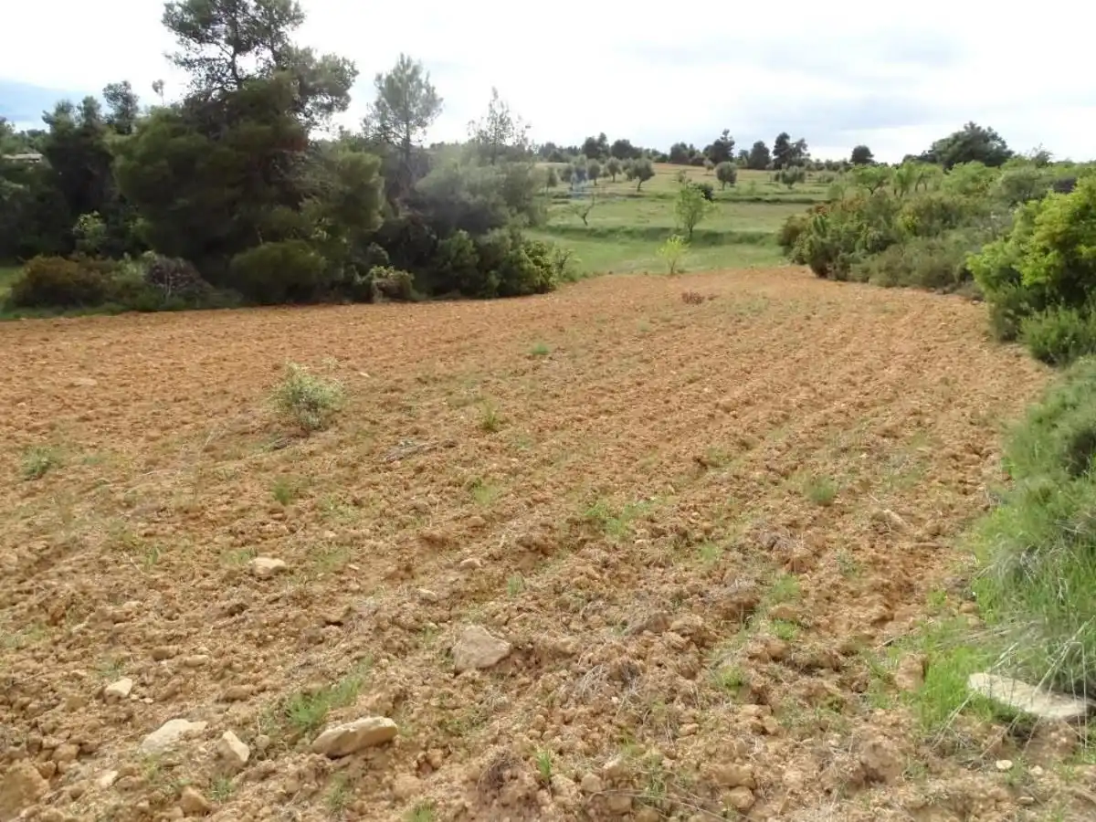 Finca rústica en venta en Cretas