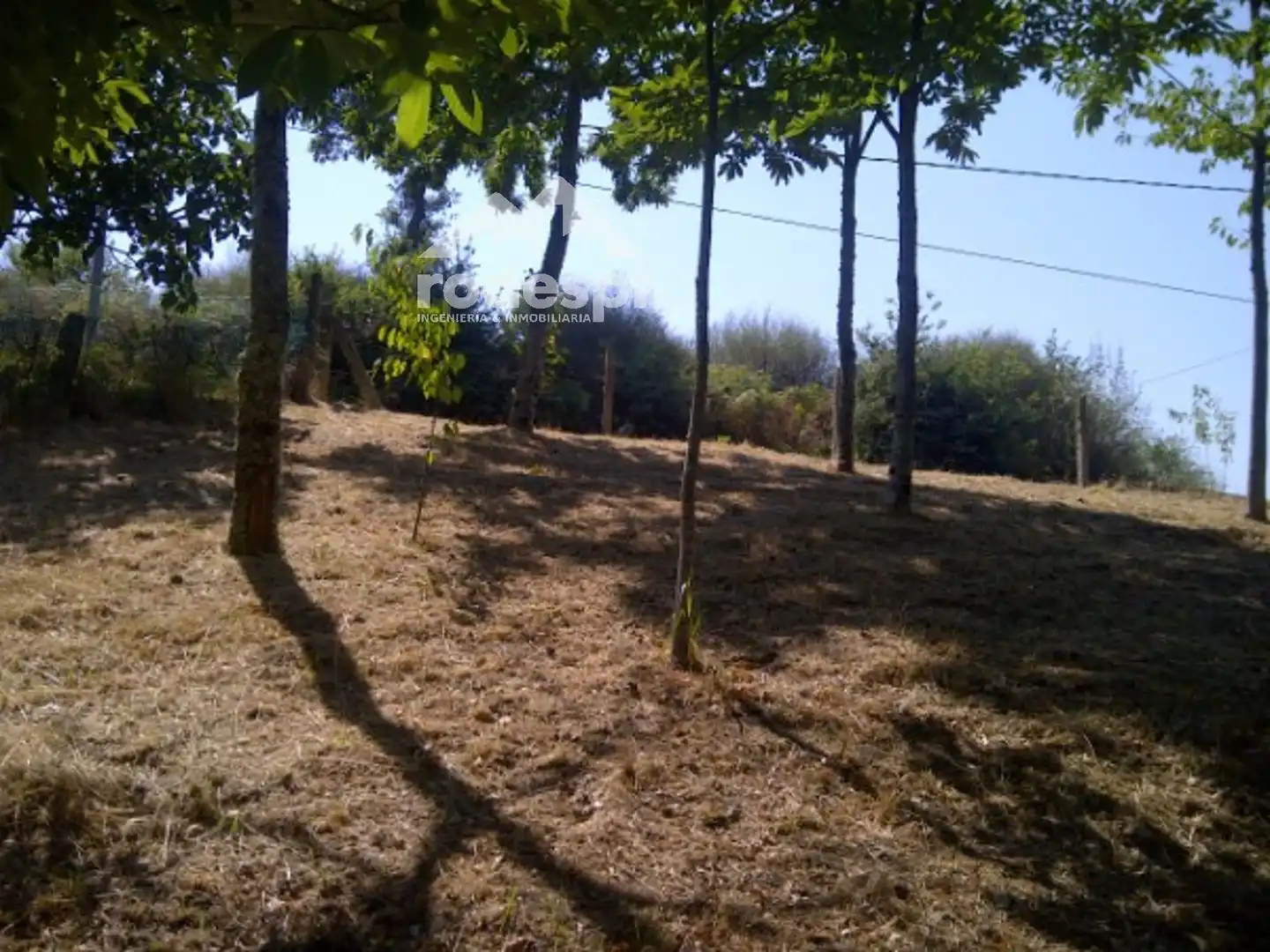 Terreny rústic en venda a A Cañiza, imagen 3