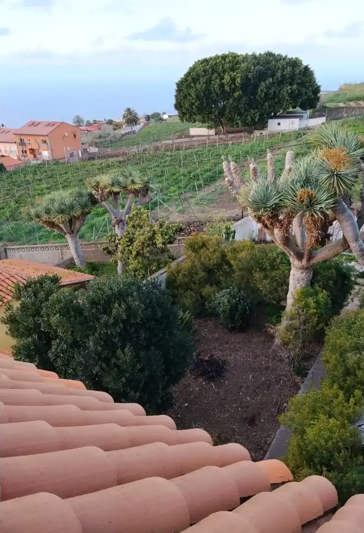 Villa mit Pool zum Verkauf in Camino de la Mina 10, imagen 54