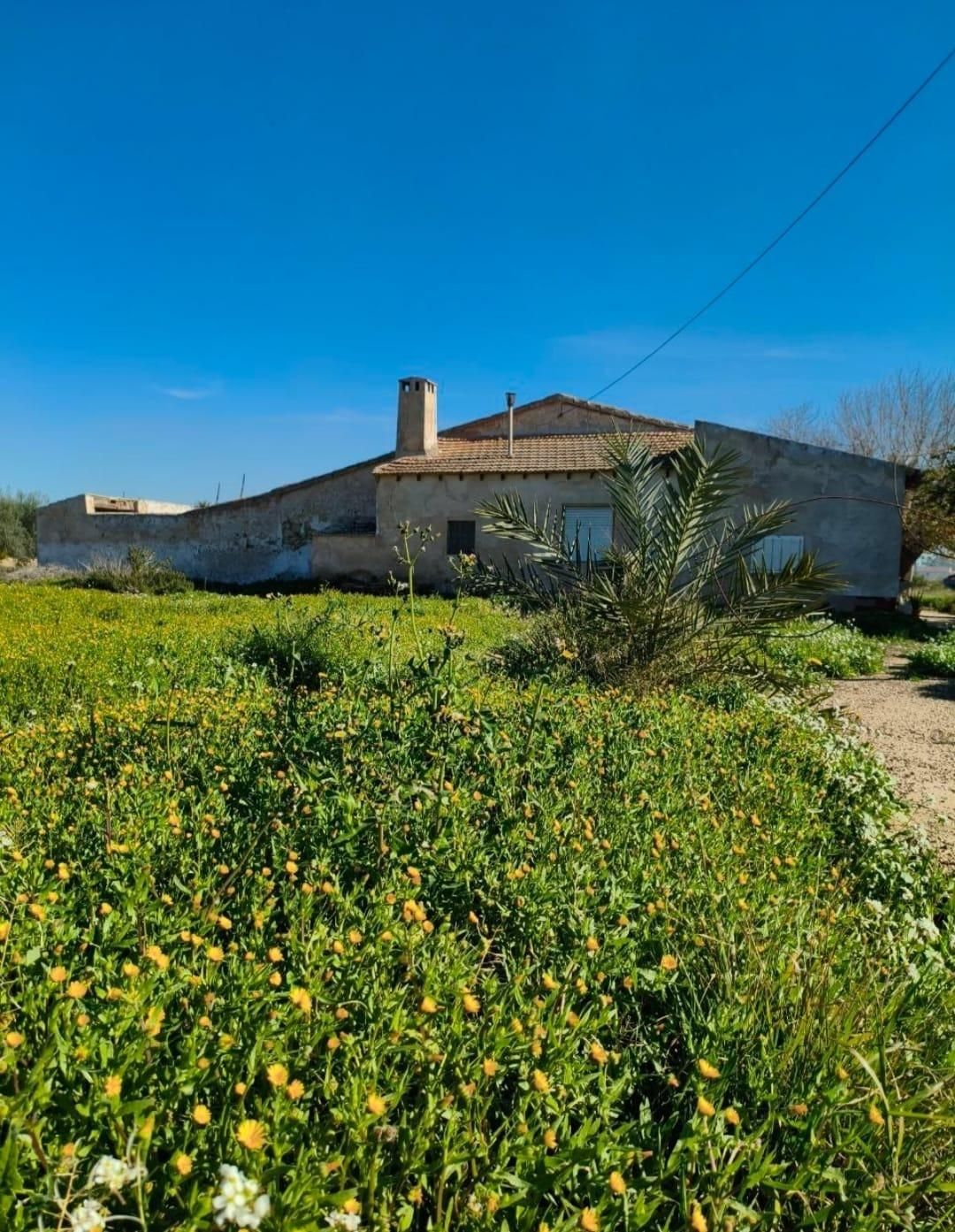 Finca rústica en venda en Elche / Elx amb Jardí privat, Terrassa i Traster